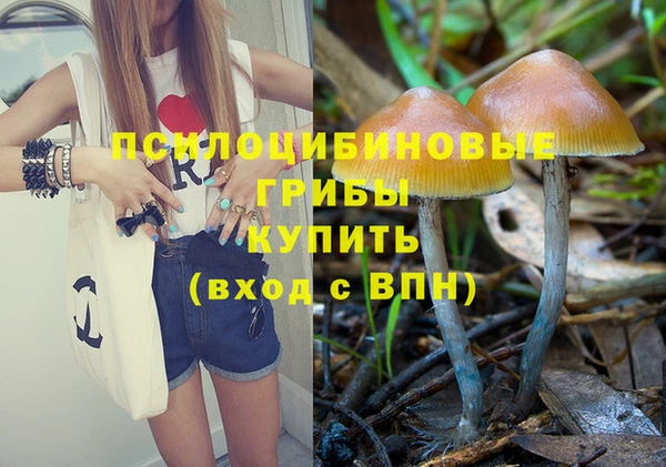 ALPHA PVP Бугульма