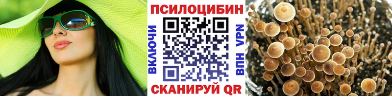 shop телеграм  Дальнереченск  Галлюциногенные грибы MAGIC MUSHROOMS  кракен вход 