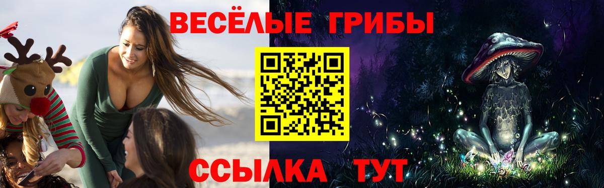 Псилоцибиновые грибы GOLDEN TEACHER  Вход с VPN  Галлюциногенные грибы Cubensis  Дальнереченск 