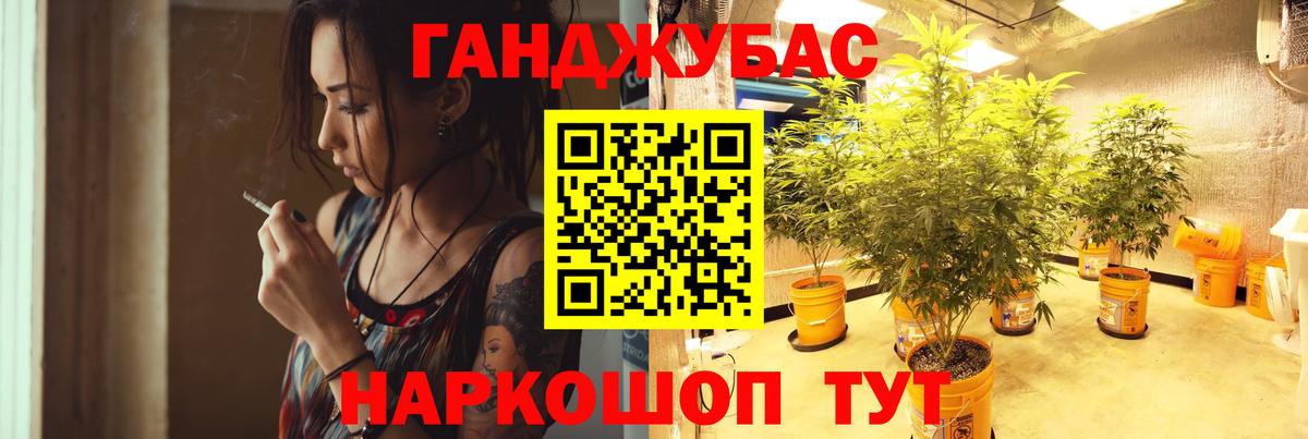 Конопля Amnesia  Бошки Шишки ГИДРОПОН  Дальнереченск  Вход с VPN 